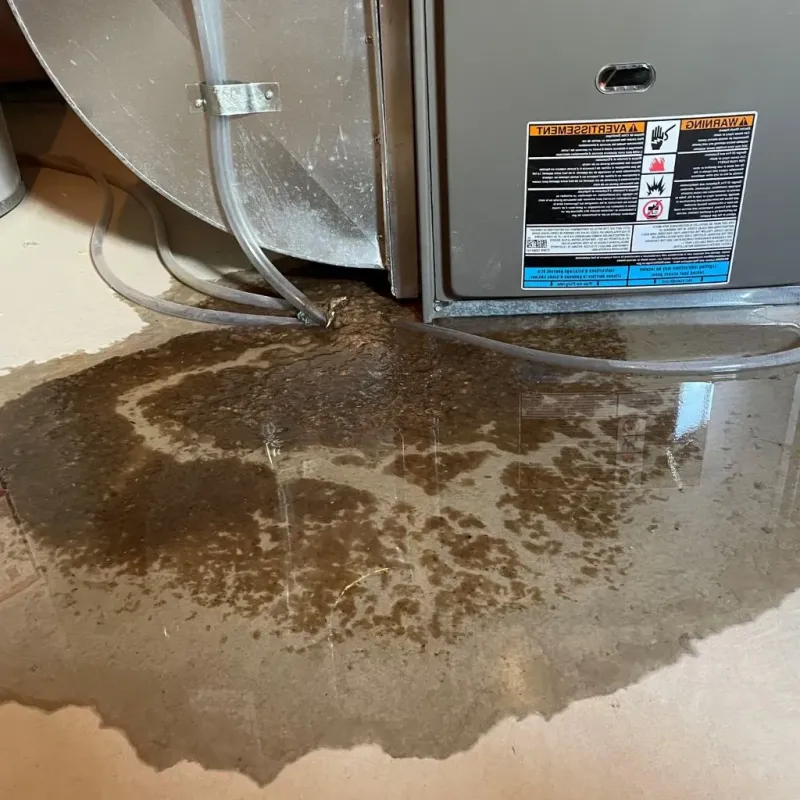 Pipe Burst and Leak Restoration in Powderly, TX