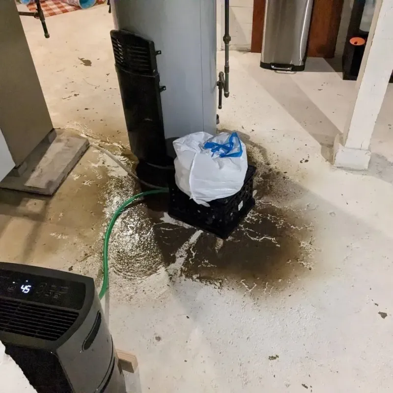 Sewage Backup Cleanup Service in Powderly, TX